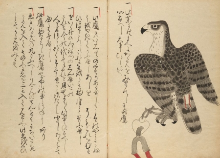 Drawing of a bird next to Japanese text