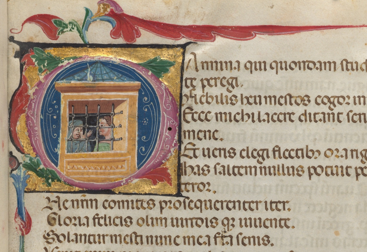 sentences-harvard-library