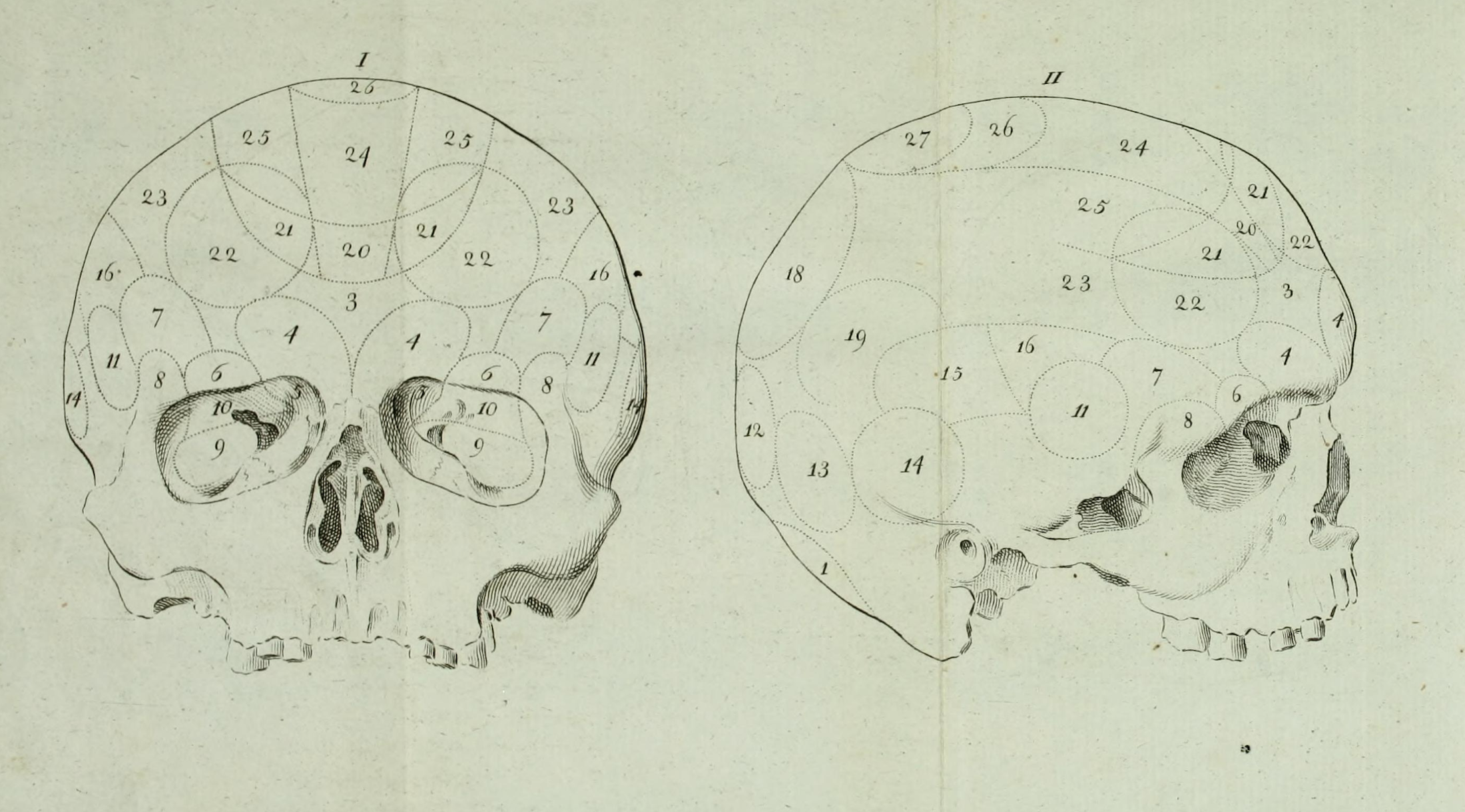 Race - History, Ideology, Science