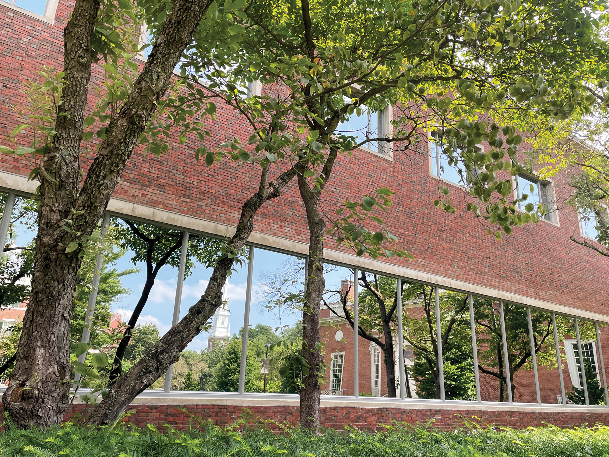 2023 MayCrane Fellowships Harvard Library