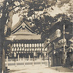 Photograph