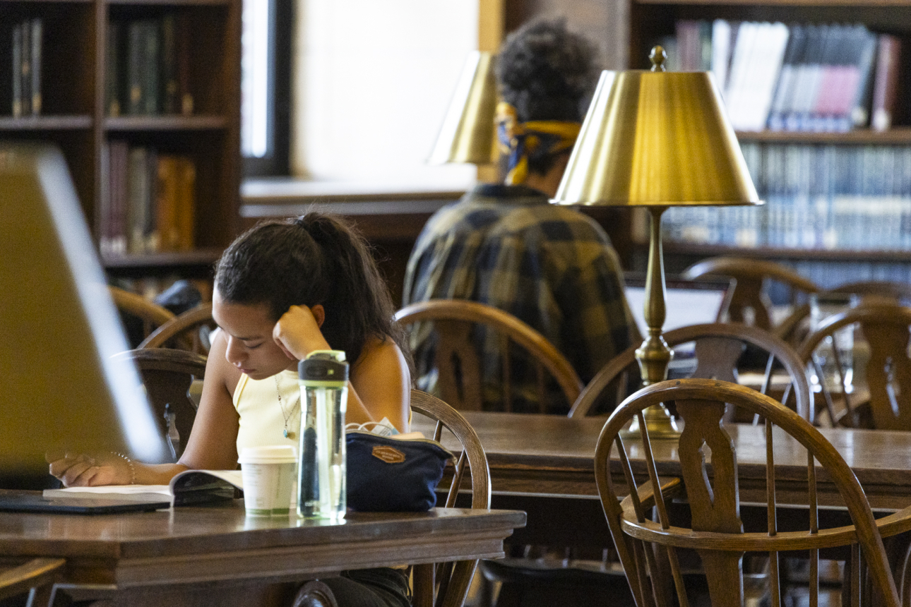 A person studies at a table in Widener Library