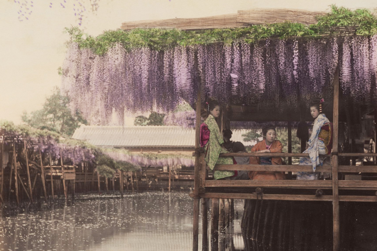 Wisteria tea house, Kameido, Tokyo. 1880s.
