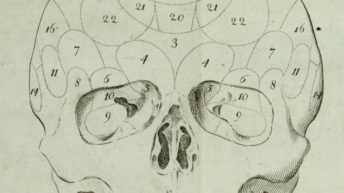 skull diagram