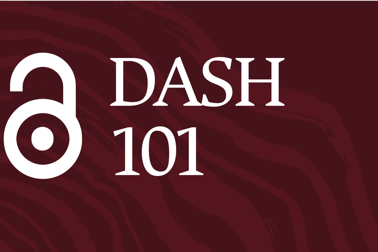 A graphic with the event title "DASH 101"