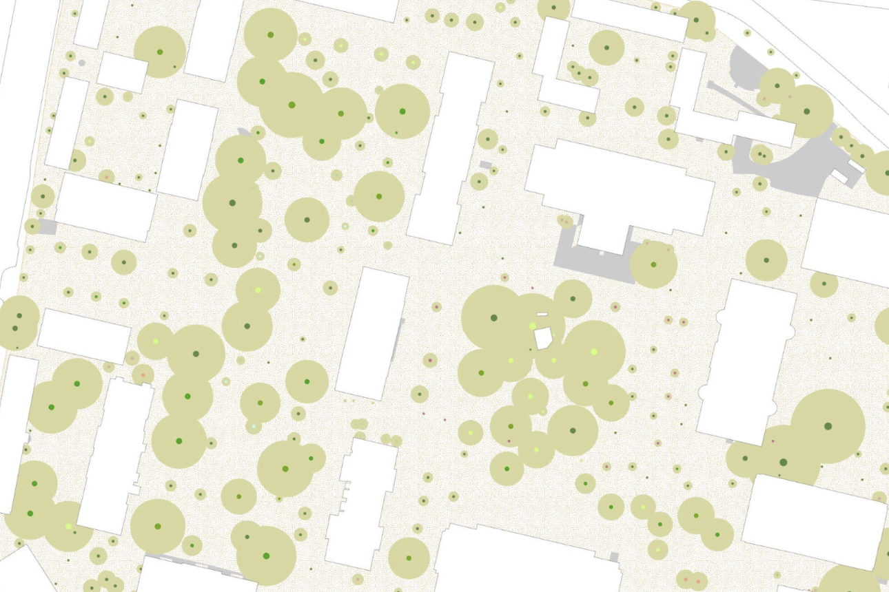 Map of underground diversity, based on location and type of trees and presumed root structure.