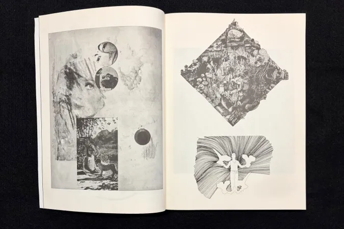 Large format book open to a spread with various images and no text 