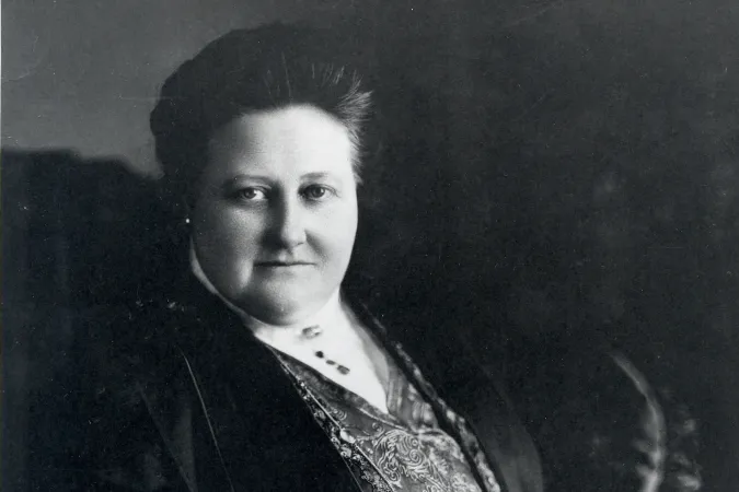 woman with her hair in a bun and dress with brocade panel 