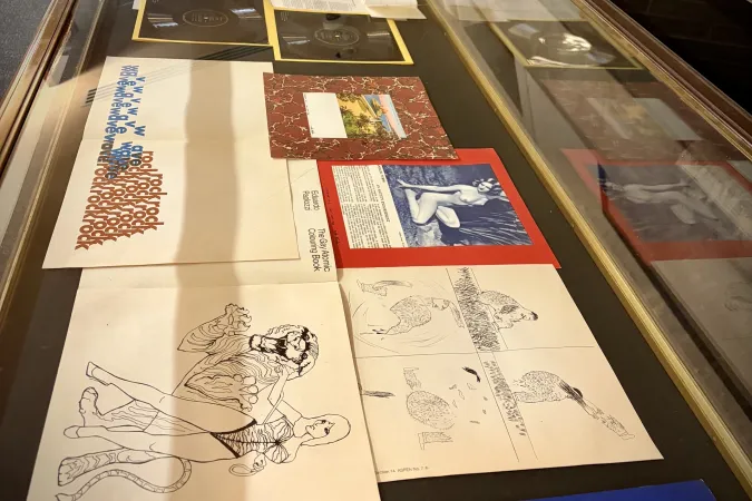 View of full display case