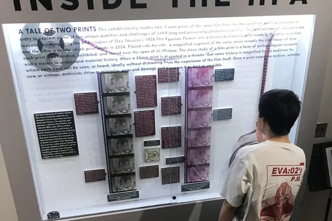 man looking at film print exhibit