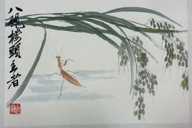 image of a mantis