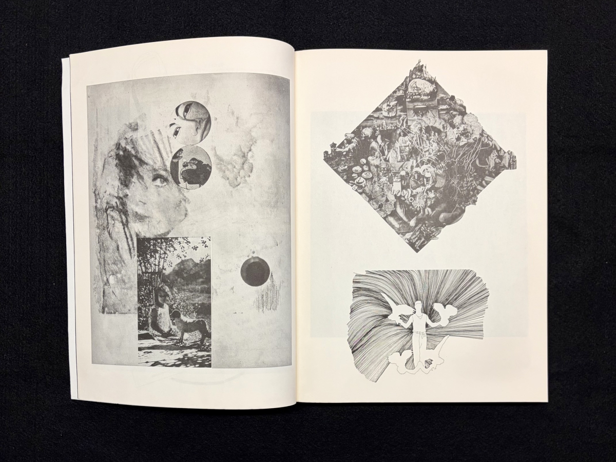 Large format book open to a spread with various images and no text 