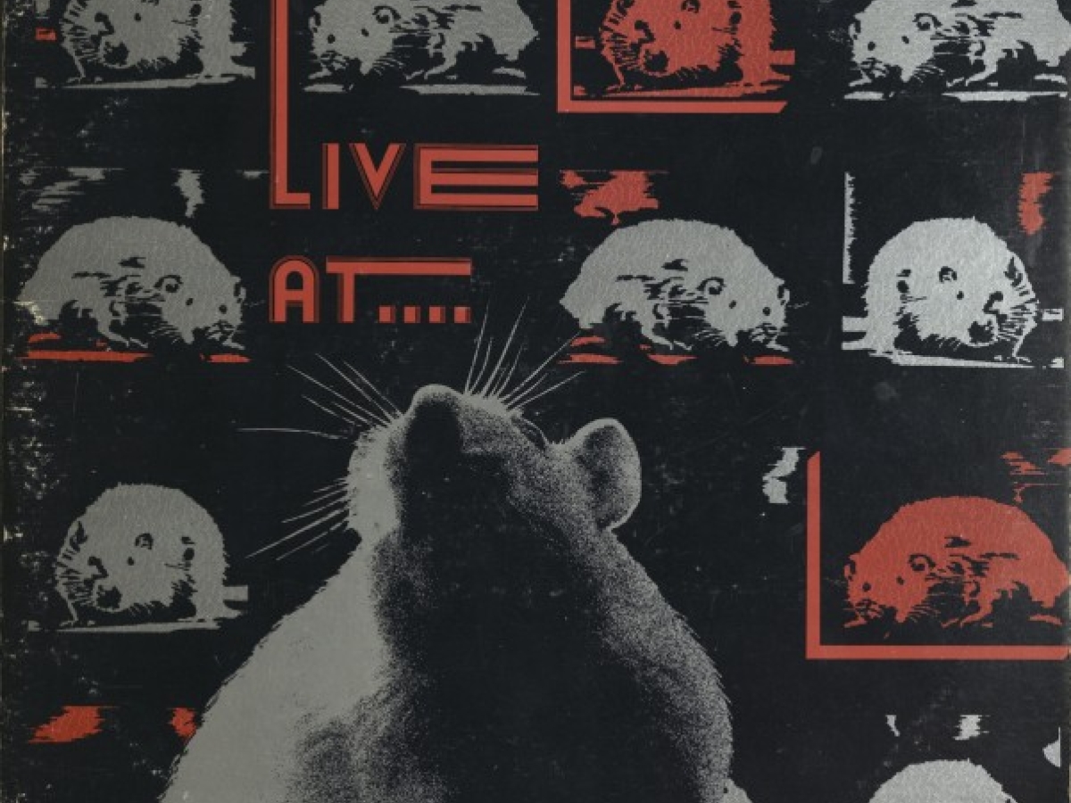 A montage of photos of a rat, with the text "Live at..."