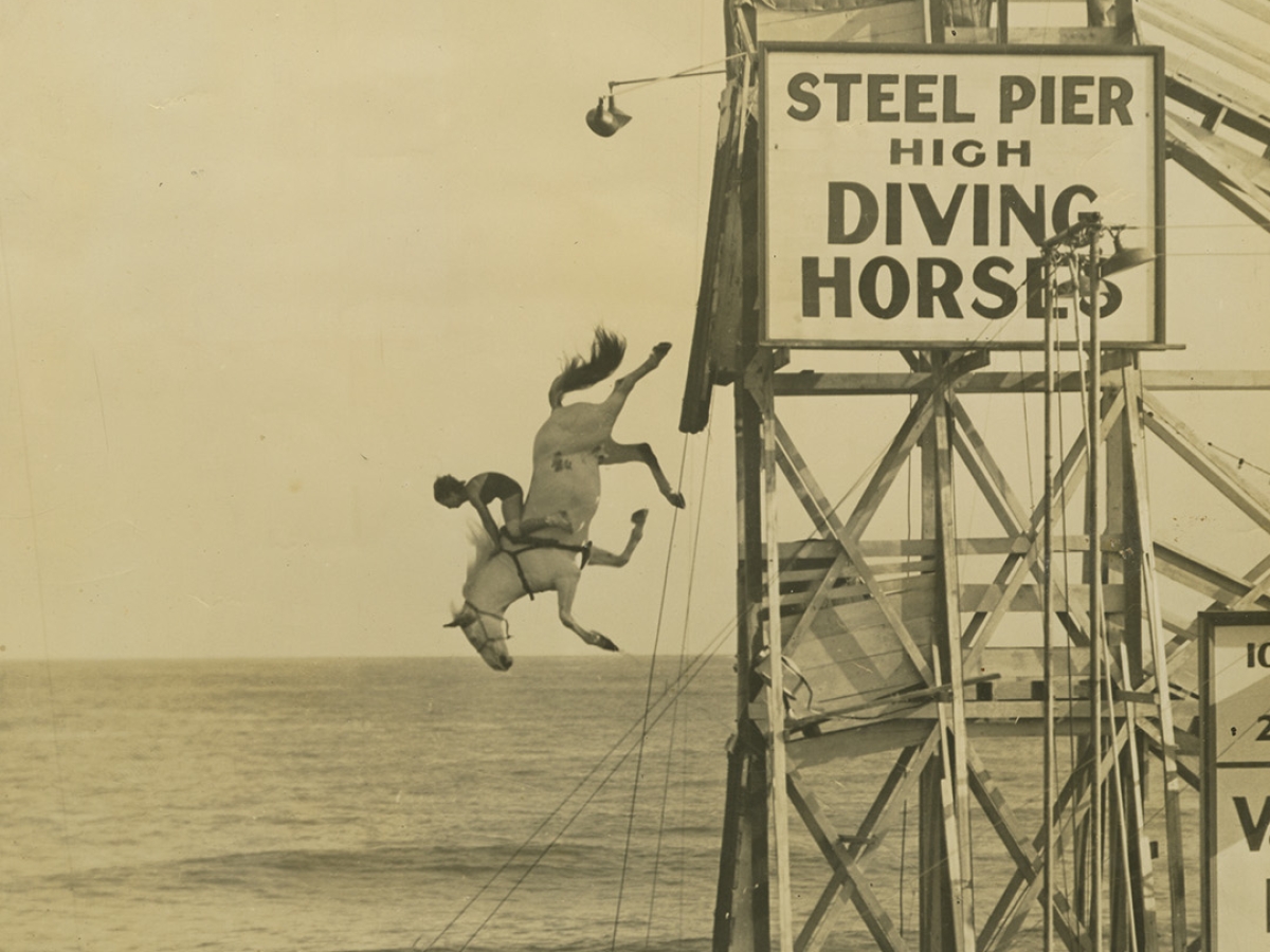 A sepia photograph of Elsa Rahr dressed in equestrian gear mid-dive on a horse from a steel pier high above the ocean water.