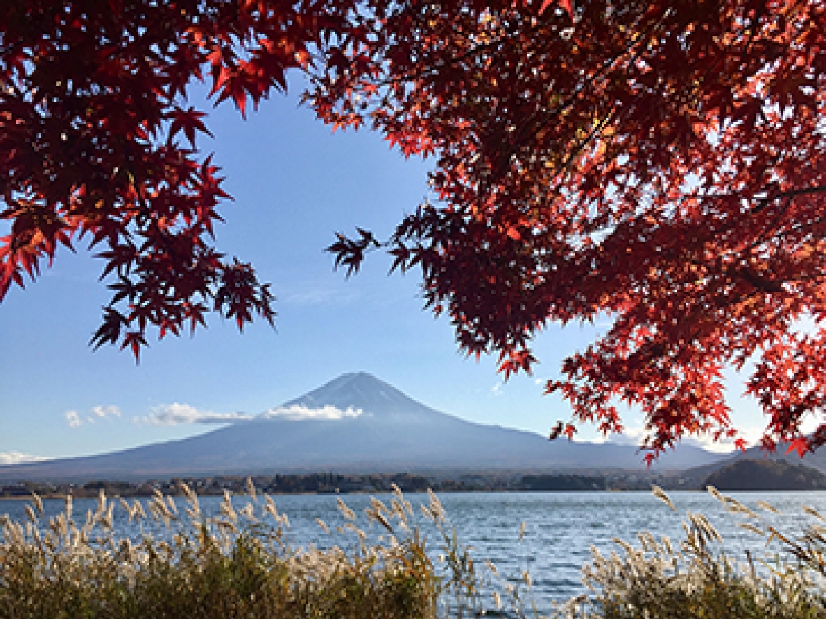 Mount Fuji in Fall