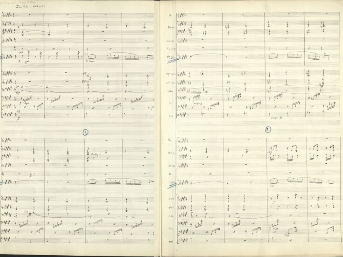 Manuscript score for chamber orchestra.