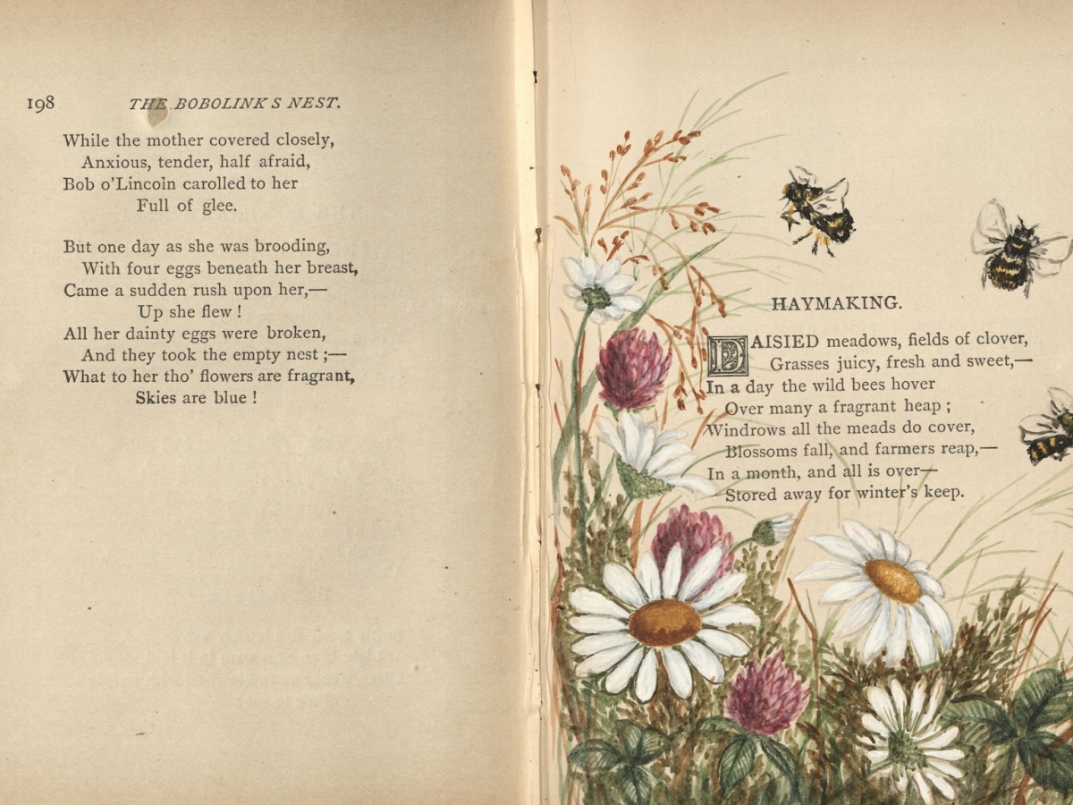 Hand-drawn daisies, thistles, and honeybees surrounding a poem titled "Haymaking."