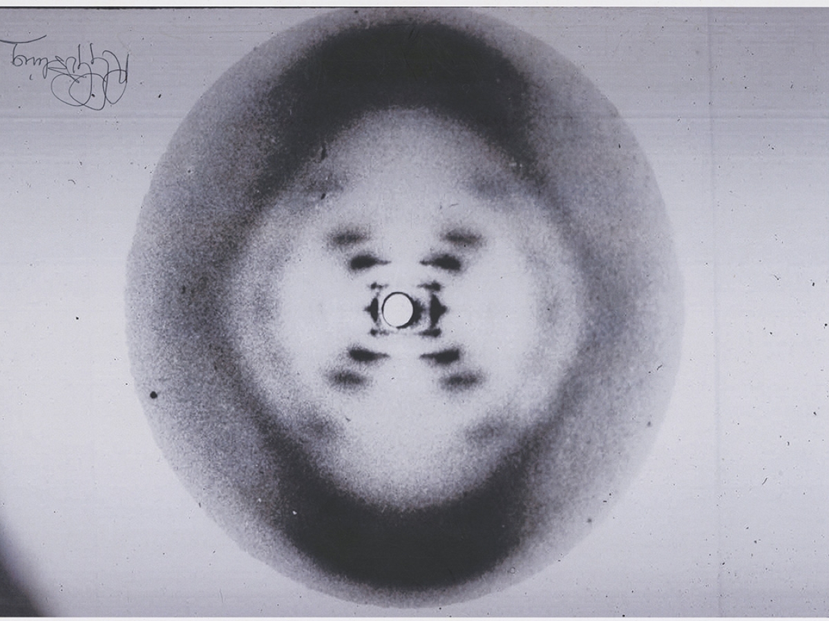 The 51st X-ray diffraction image of crystallized DNA taken.