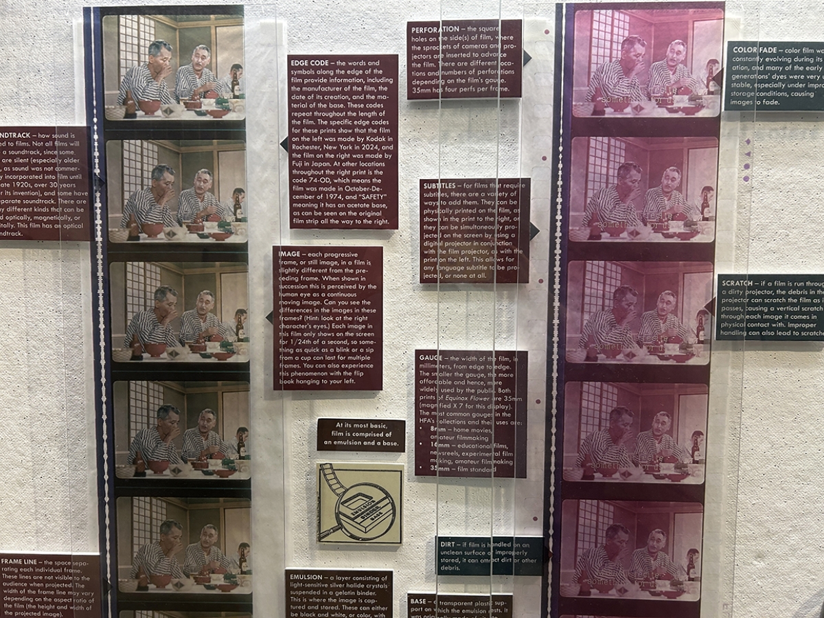 close-up of two magnified segments of a film print with explanatory texts