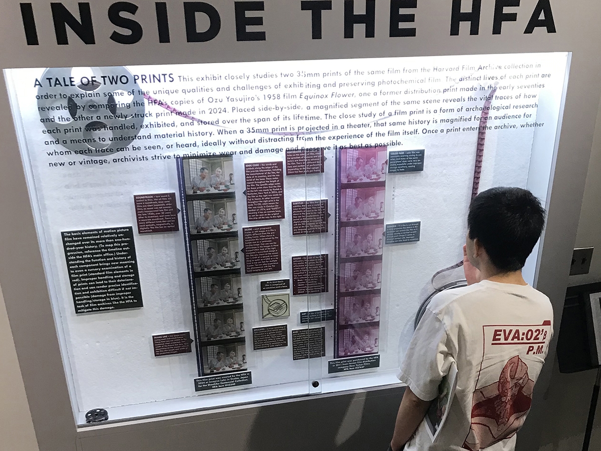 man looking at film print exhibit