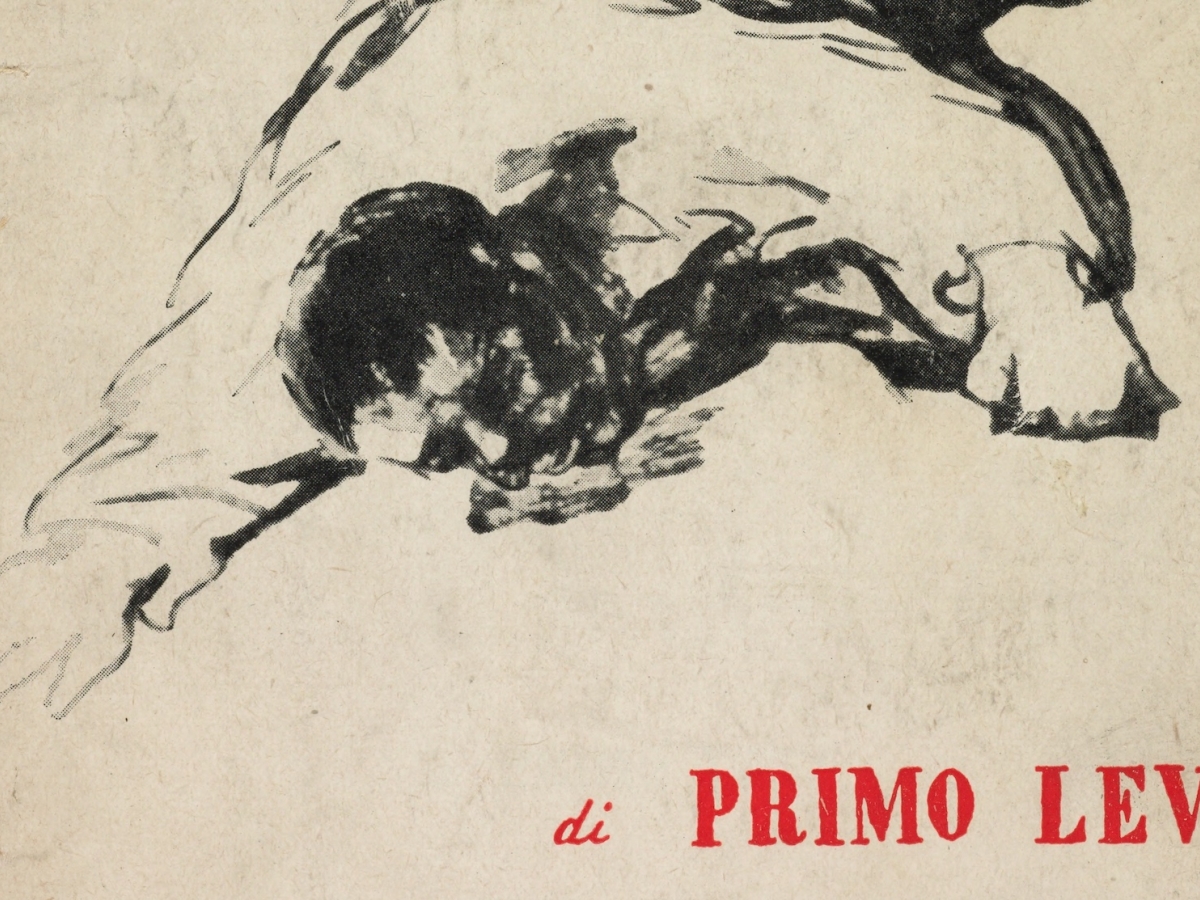 Book cover displays a fallen man and the name of the author, Primo Levi