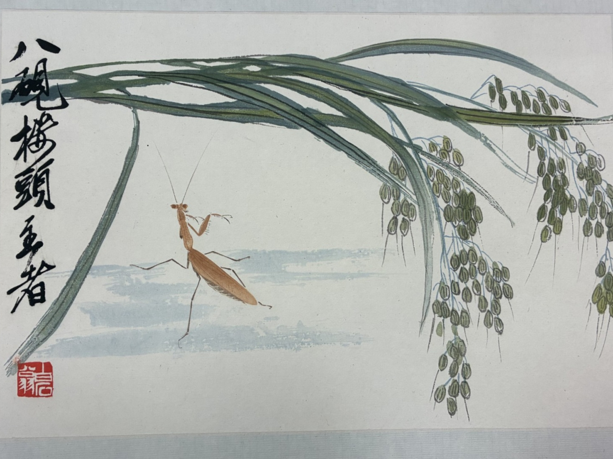image of a mantis