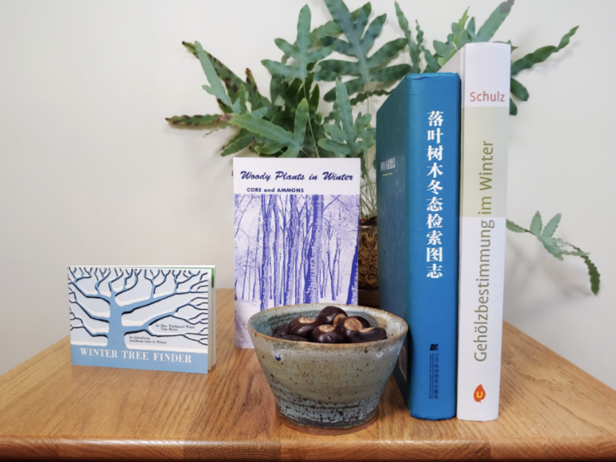 Books arranged on a table