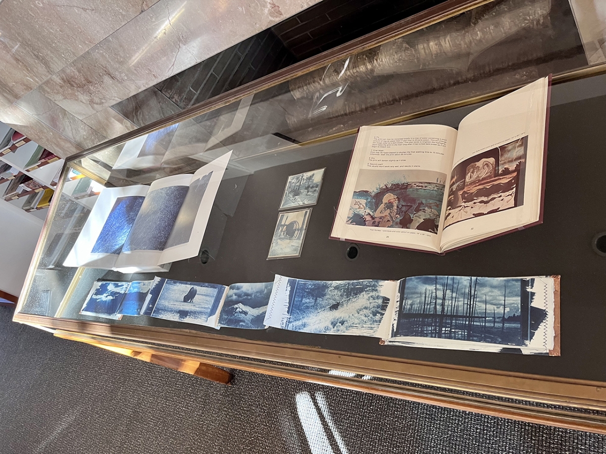 View of full display case