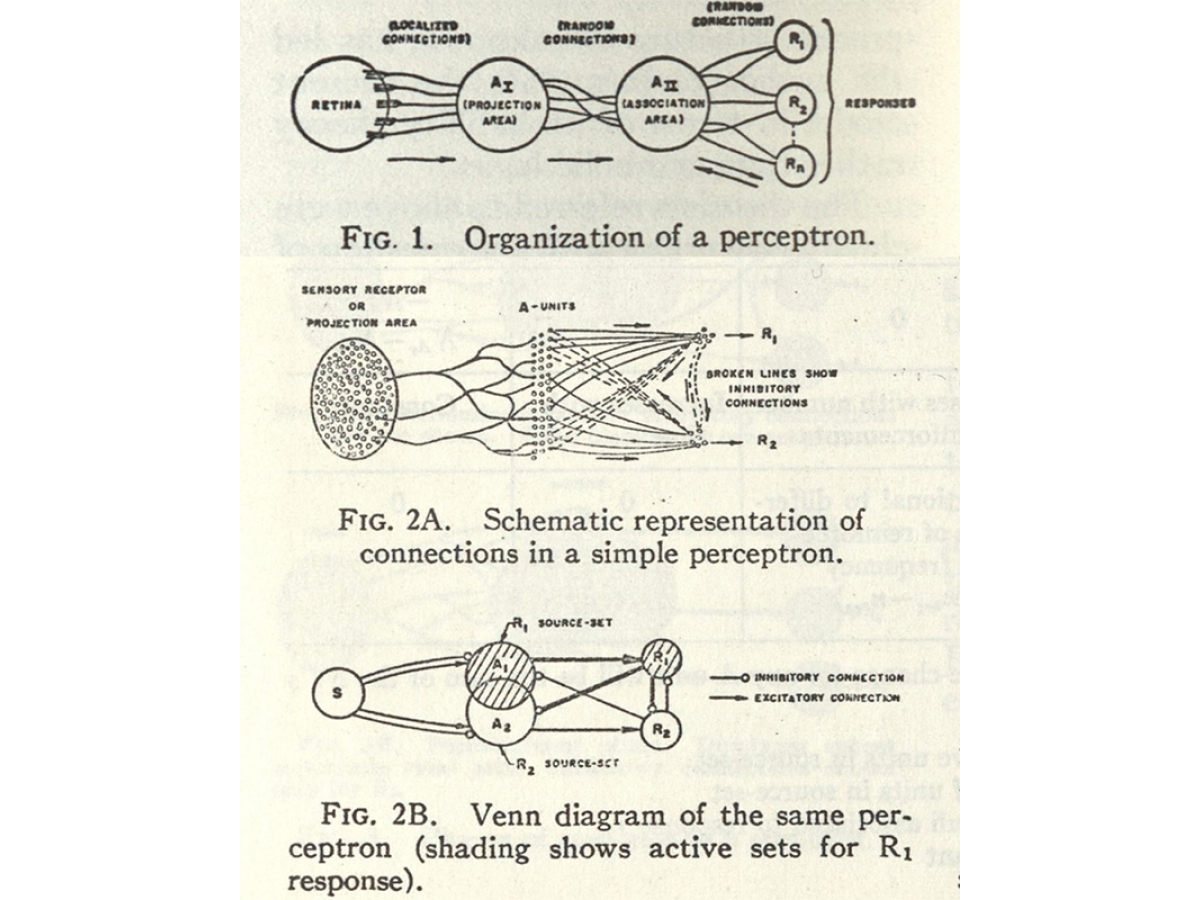 An offprint of Frank Rosenblatt’s 1958 paper “The Perceptron” with three figures detailing the organization of a perception.