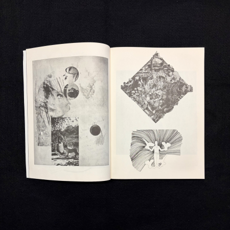Large format book open to a spread with various images and no text 