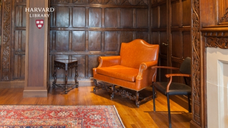 A photograph of an orange leather chair.