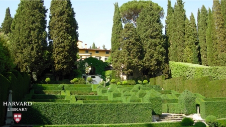 Photograph of a garden