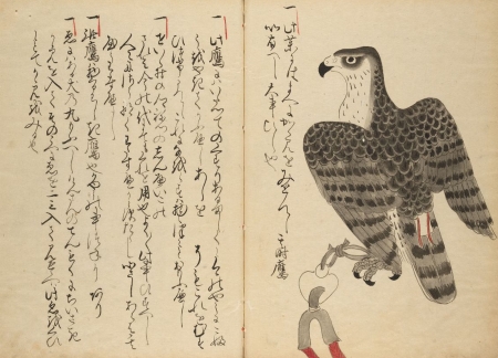 HarvardX: Japanese Books: From Manuscript to Print