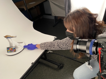 A woman aims a camera at an object on a table