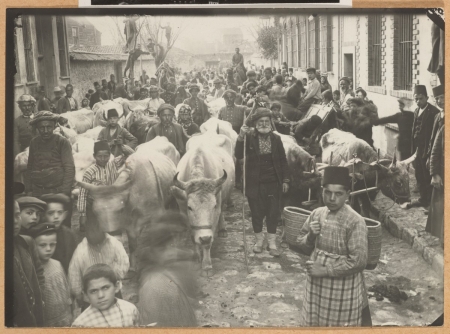 Large group of people and cows in narrow street