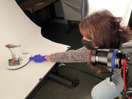A woman taking a photograph of delicate library objects.