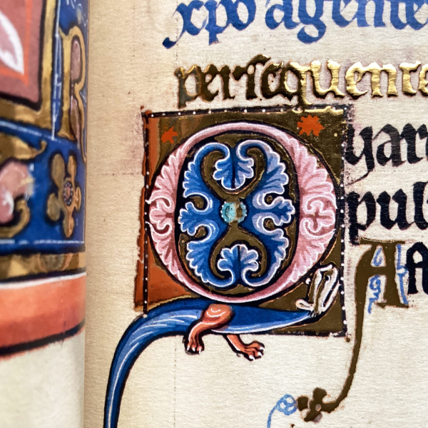 A close up of a facsimiles of an illuminated manuscripts, showing ornate text and graphic work.