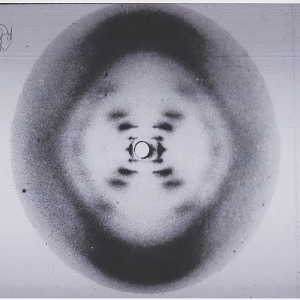 The 51st X-ray diffraction image of crystallized DNA taken.