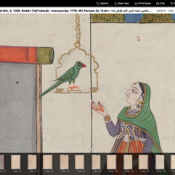 Zoomed-in detail of an illustration from a 1778 Persian manuscript, as seen in Viewer: a woman holding her hand out to a parrot