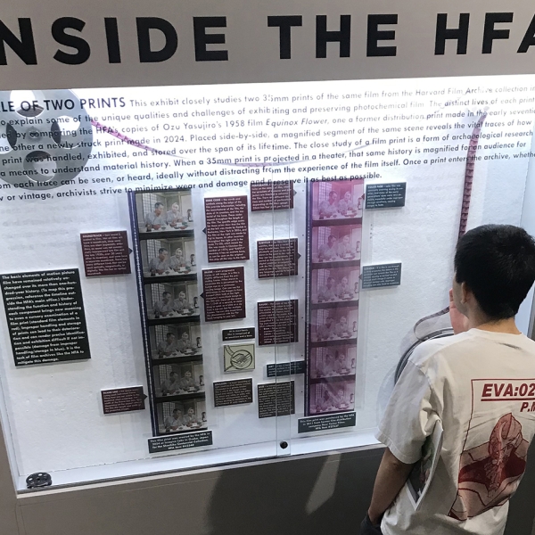 man looking at film print exhibit