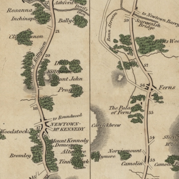 Old-style map depicting roads from Dublin to Wexford, green trees dot the roads
