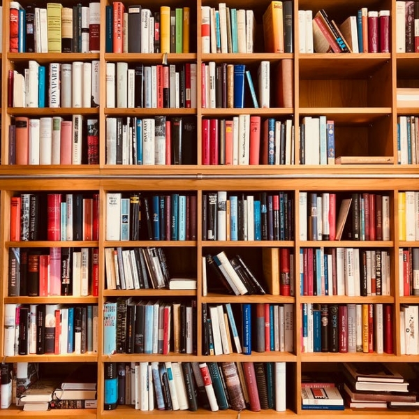 A library bookshelf full of many books
