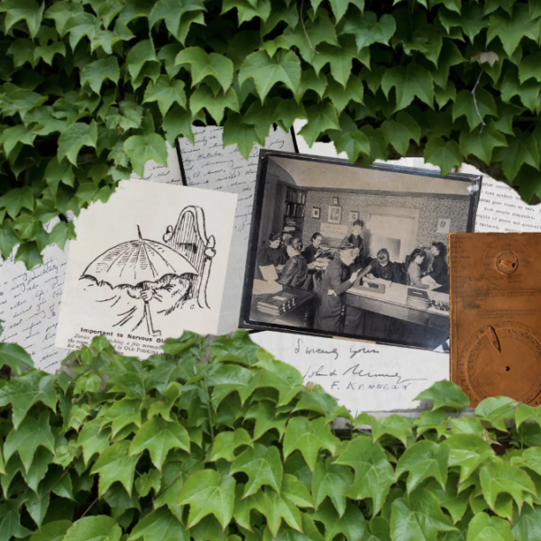 Collage image of greenery and plans surrounding a collection of archival items