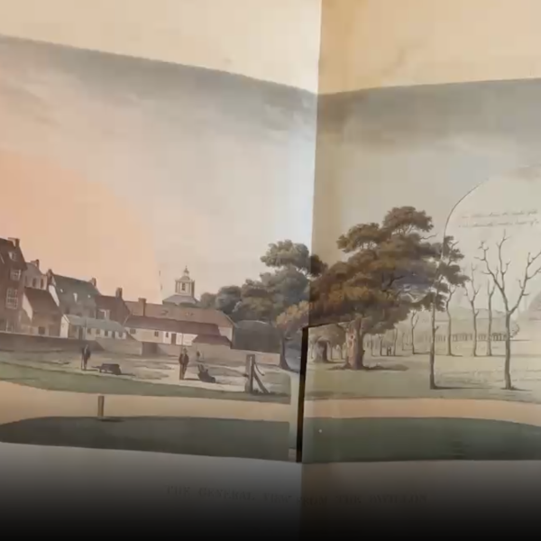 An image of a pop-up book from Harvard Library.