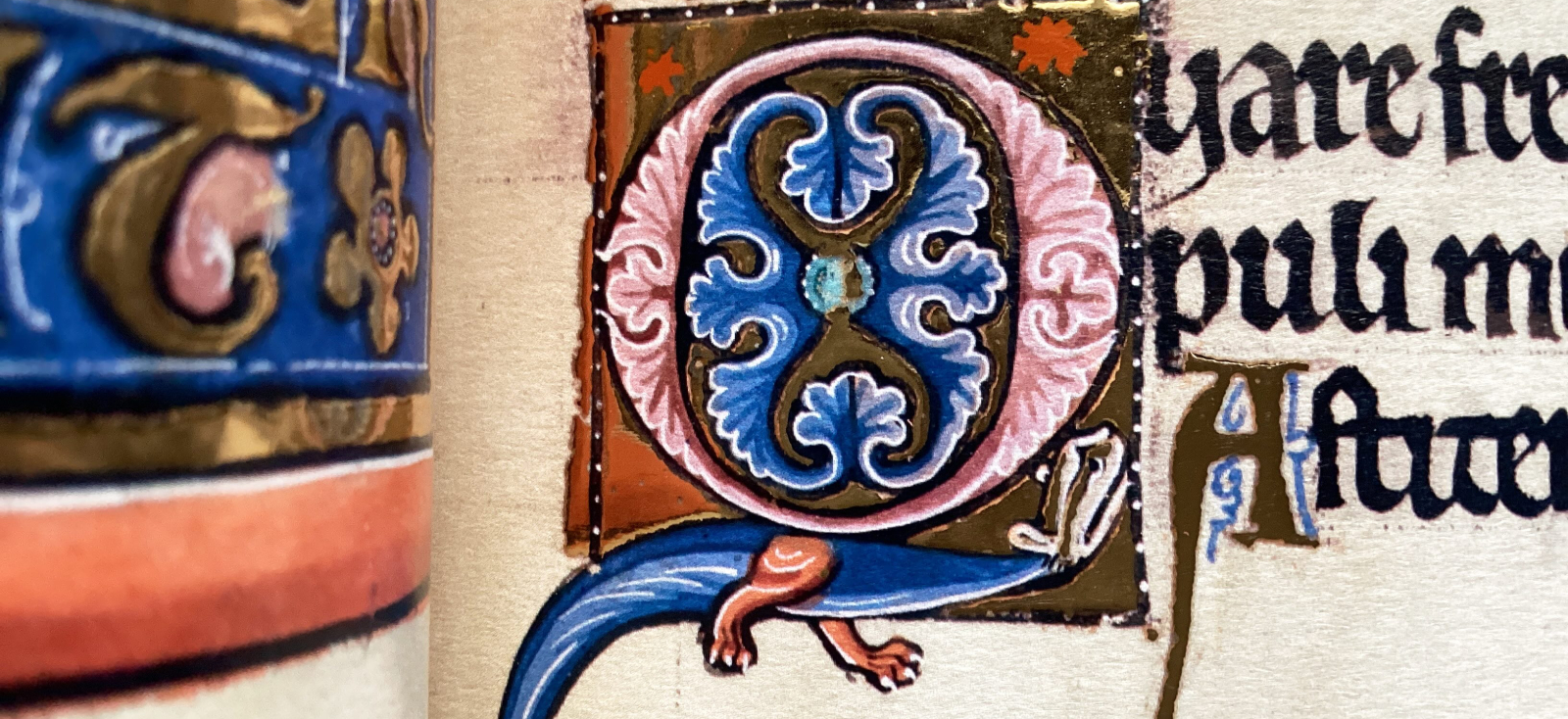 A close up of a facsimiles of an illuminated manuscripts, showing ornate text and graphic work.