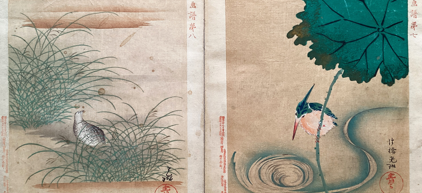 A photo of a woodblock print, which features two separate illustrations of birds in nature.