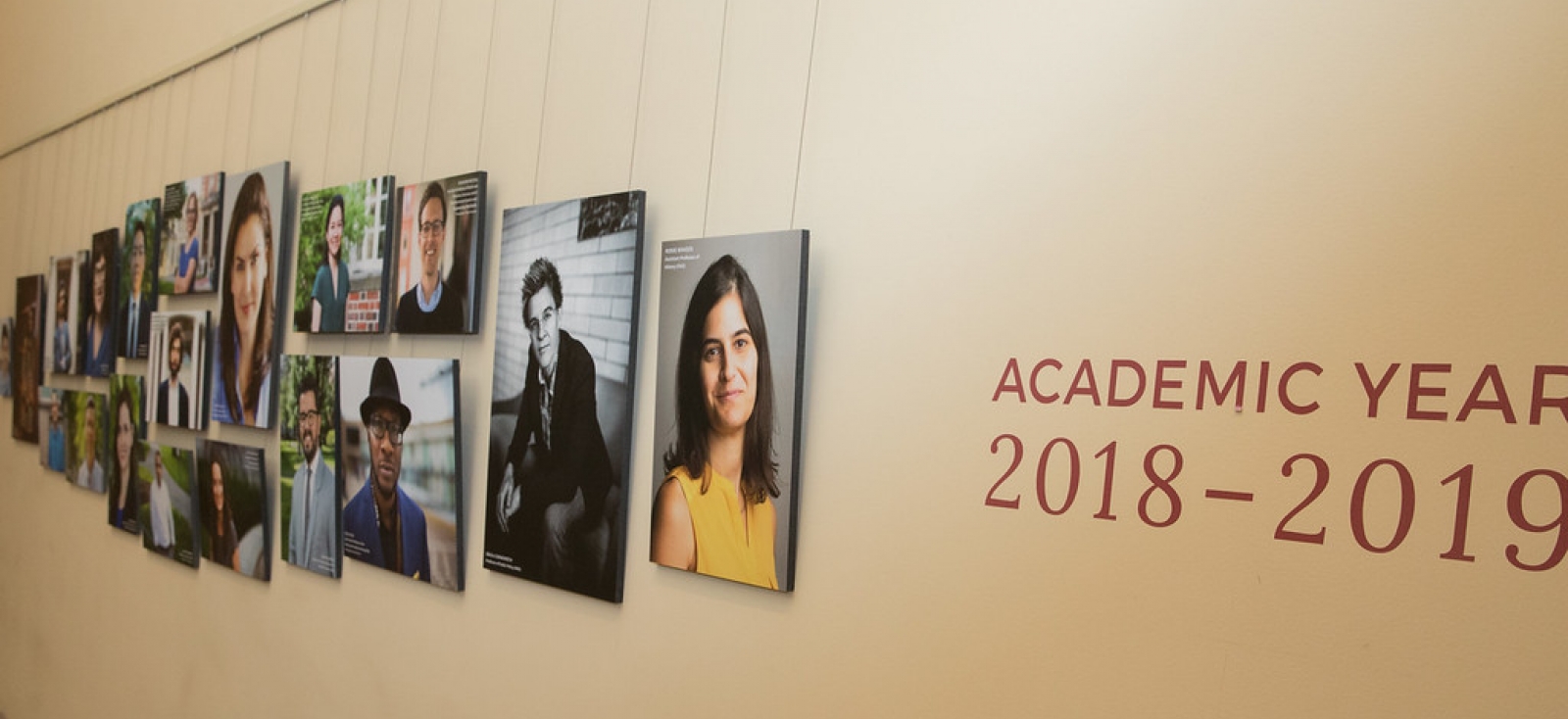 Faculty portrait gallery in Widener