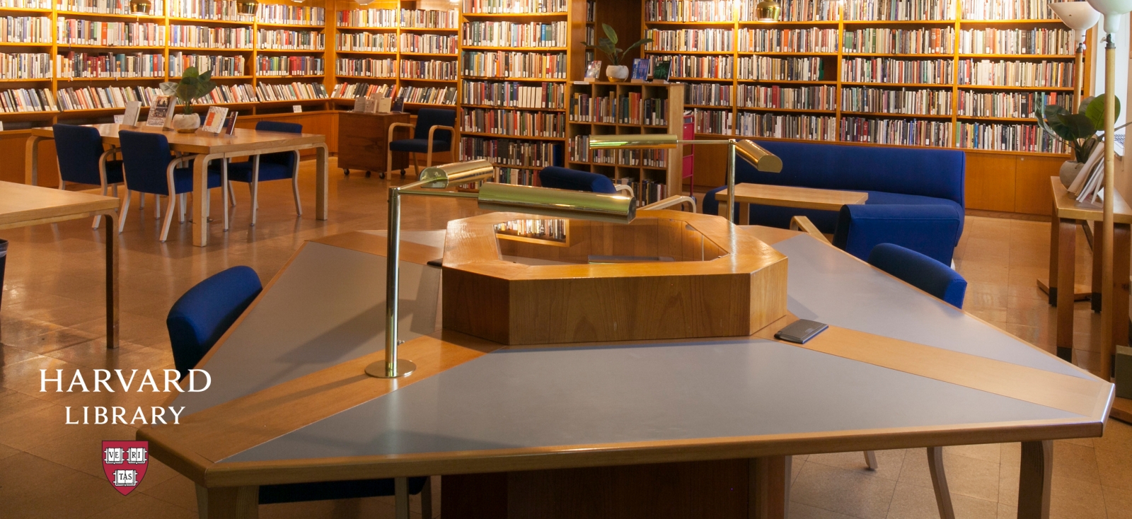 Upgrade Your Online Meeting with These Virtual Harvard Library