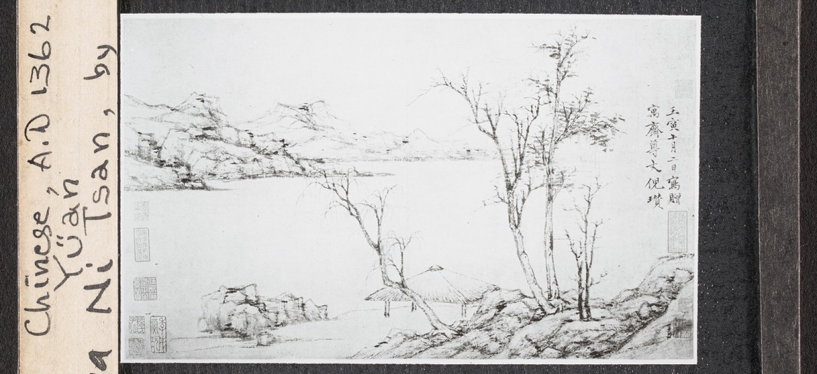 illustration of a group of trees by a river