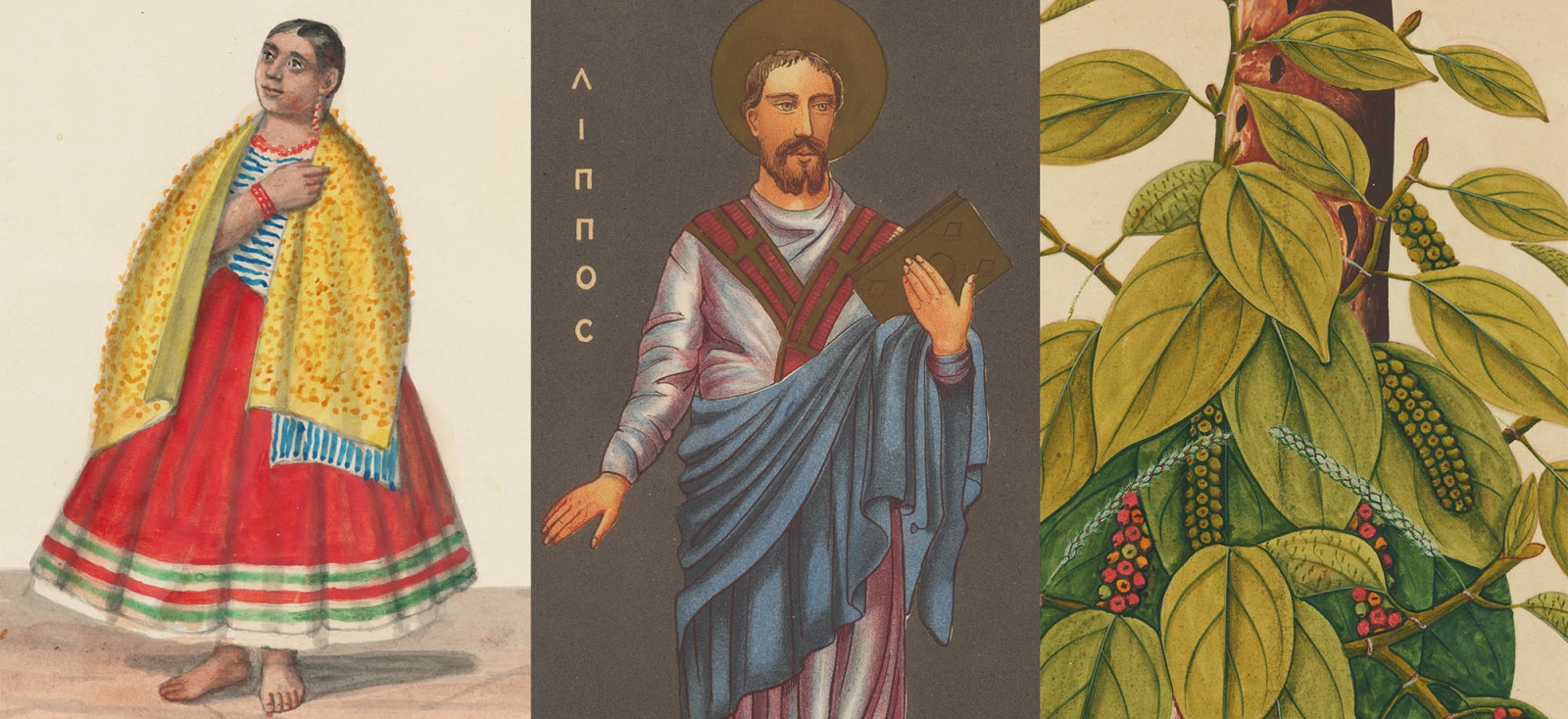 Selected images from Dumbarton Oaks' digitized rare books